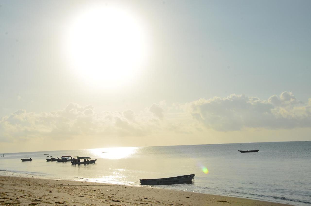 Lui Ushongo Beach House Pangani Extérieur photo